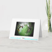 不機嫌な子猫食べバーディ誕生日カード カード (裏面)