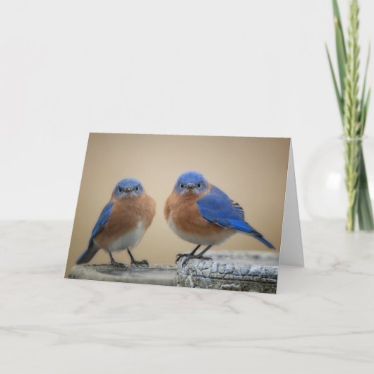 不機嫌な小男 カード (正面)