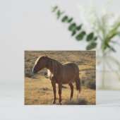 不機嫌な栗 ポストカード (スタンド正面)