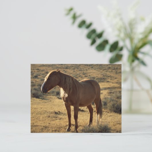 不機嫌な栗 ポストカード (スタンド正面)