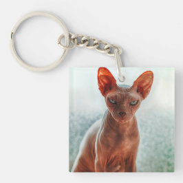 不機嫌な毛のないスフィンクス猫 キーホルダー