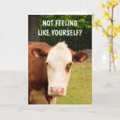 不機嫌な牛がんの支援 カード (黄色い花)
