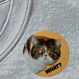 不機嫌な猫なんだって?写おもしろい真 缶バッジ