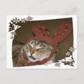 不機嫌な猫のクリスマスポストカード シーズンポストカード (正面)