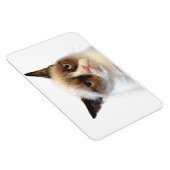 不機嫌な猫用フレキシブル磁石 マグネット (右側)