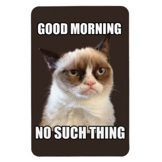 不機嫌な猫用フレキシブル磁石 マグネット