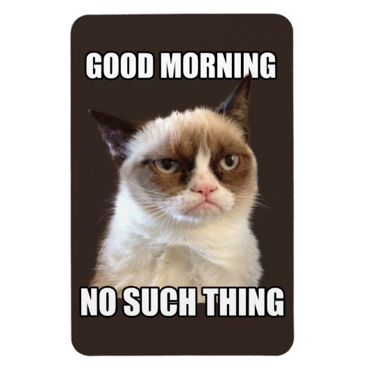 不機嫌な猫用フレキシブル磁石 マグネット (縦)