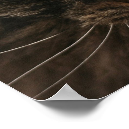 不機嫌な猫 ポスター (角)