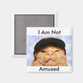 不機嫌な猫 マグネット (正面/裏面)