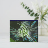 不機嫌な魚 ポストカード (スタンド正面)