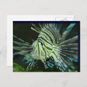 不機嫌な魚 ポストカード (正面/裏面)