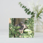 不機嫌な鳥はがき ポストカード (スタンド正面)