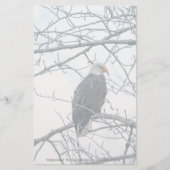 不機嫌な (正面)