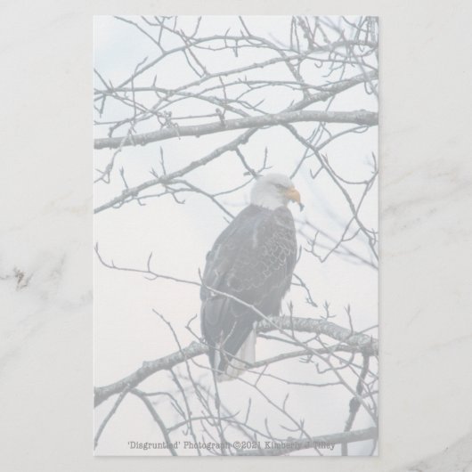 不機嫌な (正面)