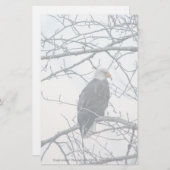 不機嫌な (正面/裏面)