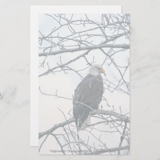 不機嫌な (正面/裏面)