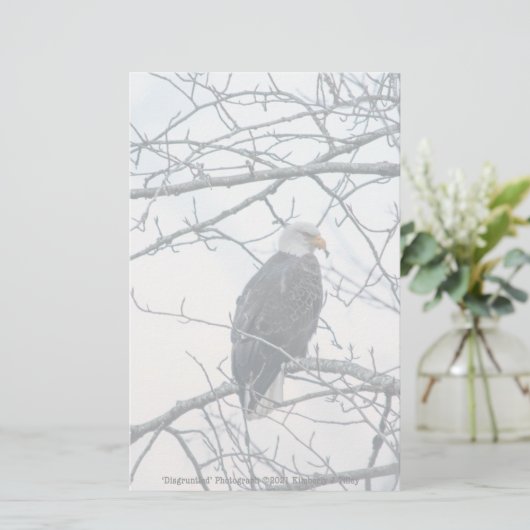 不機嫌な (スタンド正面)