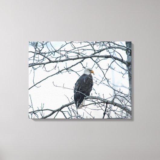 不機嫌な キャンバスプリント (正面)