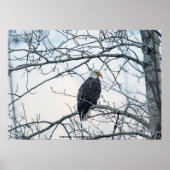 不機嫌な ポスター (正面)