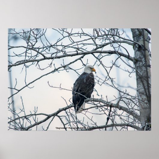 不機嫌な ポスター (正面)