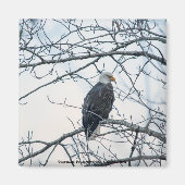 不機嫌な マグネット (正面)