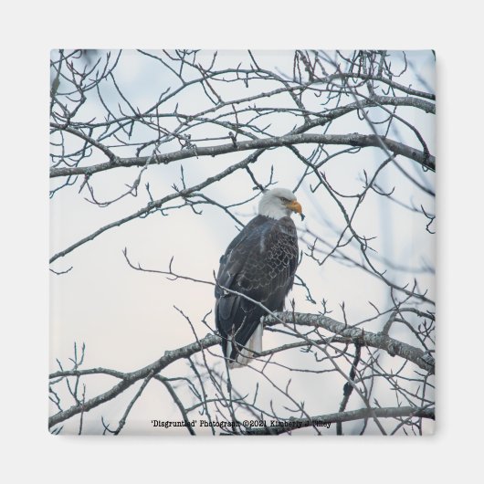 不機嫌な マグネット (正面)