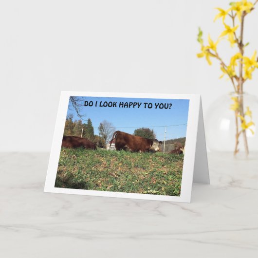 不機嫌の「ウシ」は、私が「お前」と言うので不幸恋しく思そうだ。 カード (黄色い花)