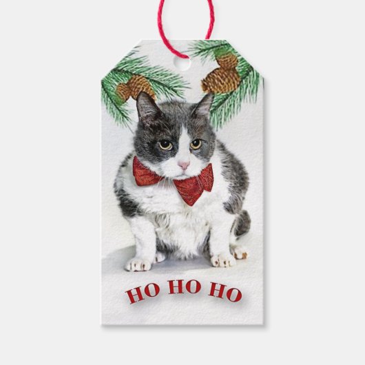 不機嫌カスタムなフェリックスをフィーチャーしたラベルギフト ギフトタグ (正面)