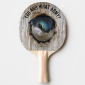 不機嫌ツリースワローソンバードインネスボックス 卓球ラケット (正面)