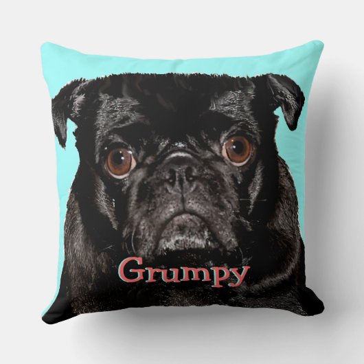 不機嫌パーソナライズされたなプギー クッション (裏面)