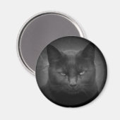 不機嫌ブラックキャットスポットライト マグネット (正面/裏面)