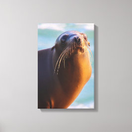 不機嫌仲間？ キャンバスプリント