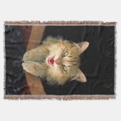 不機嫌絵画猫の可愛いオリジナル猫アート スローブランケット (正面)