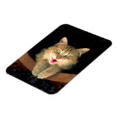 不機嫌絵画猫の可愛いオリジナル猫アート マグネット (左側)