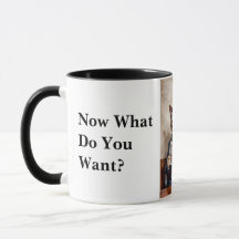 不機嫌読なオフィスキャット