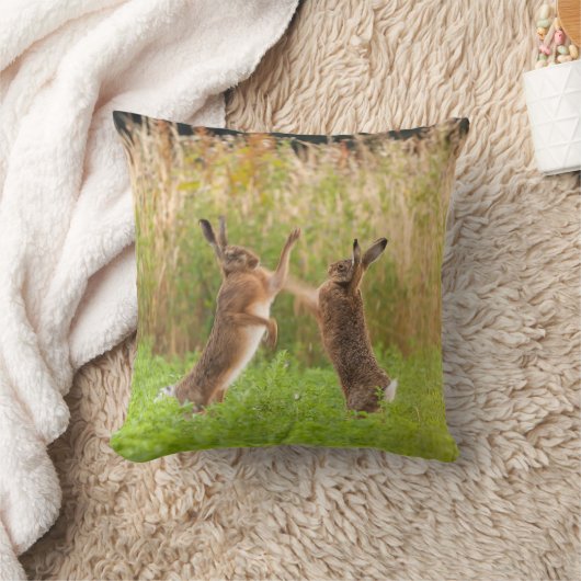 不機嫌野生のウサギボクシングと戦いノーフォークUK クッション (ブランケット)