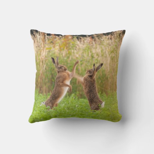 不機嫌野生のウサギボクシングと戦いノーフォークUK クッション (裏面)