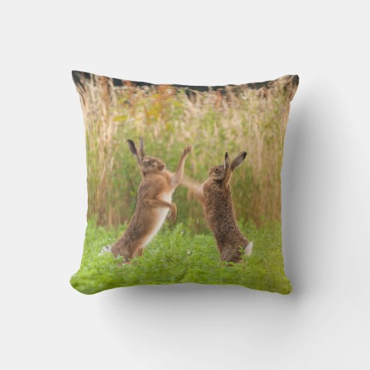 不機嫌野生のウサギボクシングと戦いノーフォークUK クッション (正面)