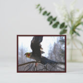 不機嫌鳥はがき ポストカード (スタンド正面)