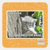 不機嫌 スクエアシール (正面)