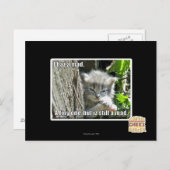 不機嫌 ポストカード (正面/裏面)