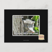 不機嫌 ポストカード (正面)