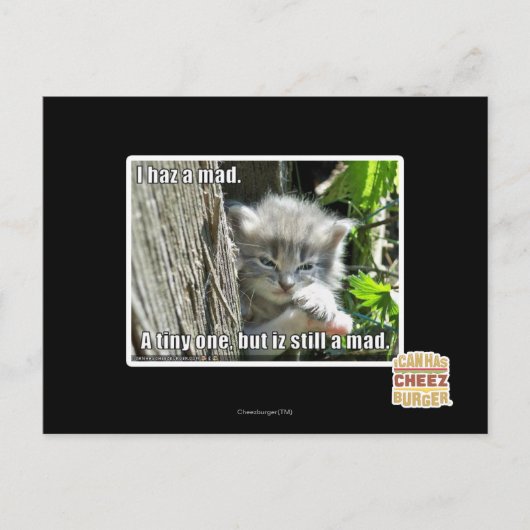 不機嫌 ポストカード (正面)