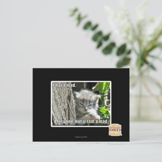 不機嫌 ポストカード (スタンド正面)