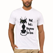 不機嫌、悪いと危険な知っている黒猫