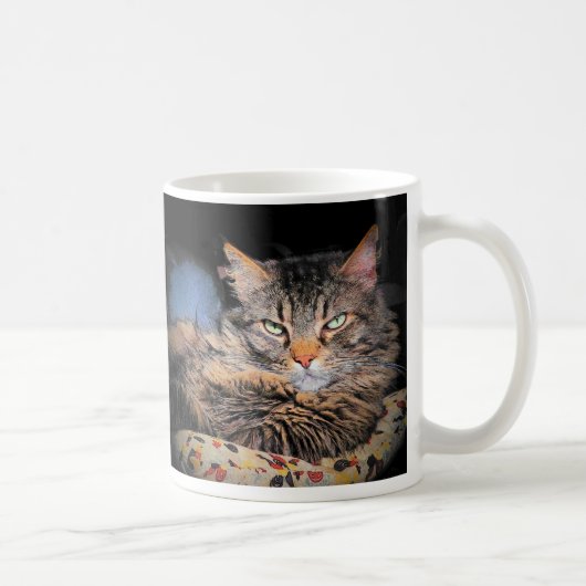 不正な猫の拾い上げ行#1 コーヒーマグカップ (右)