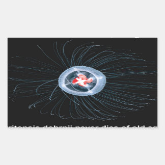 不死クラゲ長方形ステッカー 長方形シール