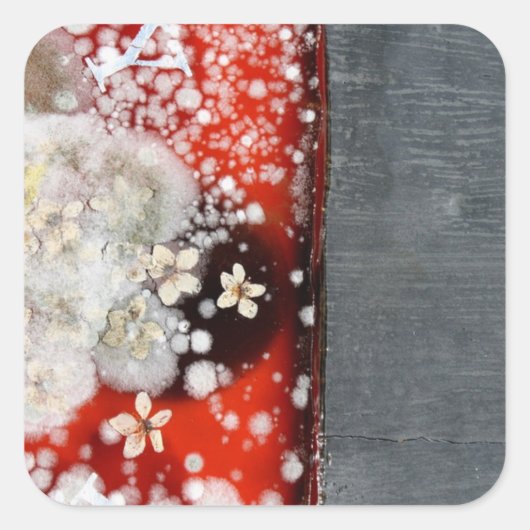 不死2 スクエアシール (正面)