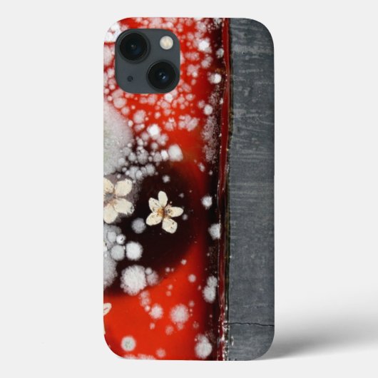不死2 Case-Mate iPhoneケース (裏面)