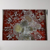 不死 ポスター (正面)